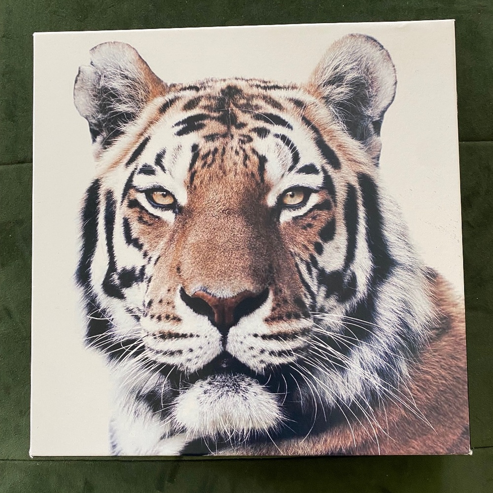 Puzzle Tiger